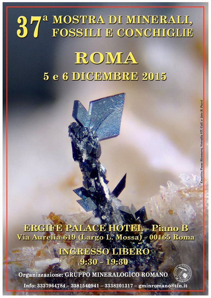 37 Mostra di Minerali,Fossili e Conchiglie ERGIFE (Roma)